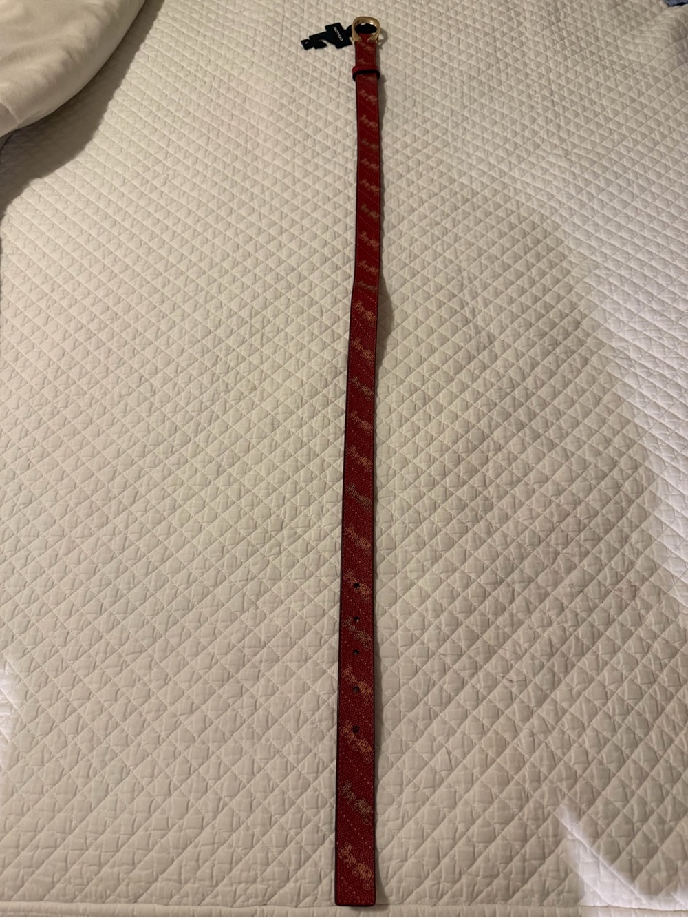 Coach Red Leather Belt with Gold Horseshoe Buckle